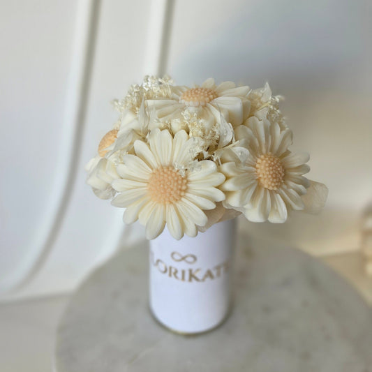 Mini Box Gänseblümchen