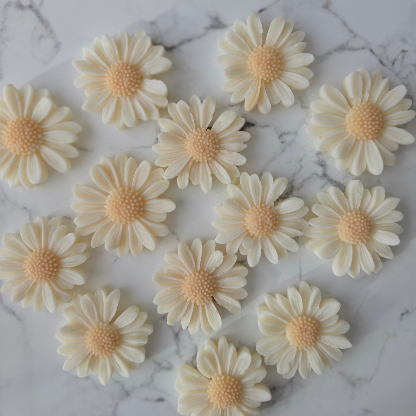 Mini Geschenk mit Personalisierung |  Gänseblümchen | Wachs Melts |
