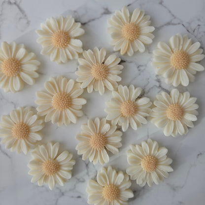 Mini Geschenk mit Personalisierung |  Gänseblümchen | Wachs Melts |