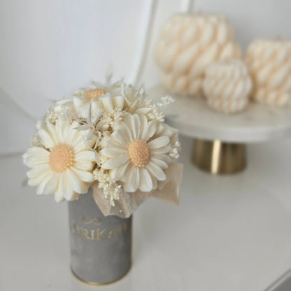 Mini Box Gänseblümchen