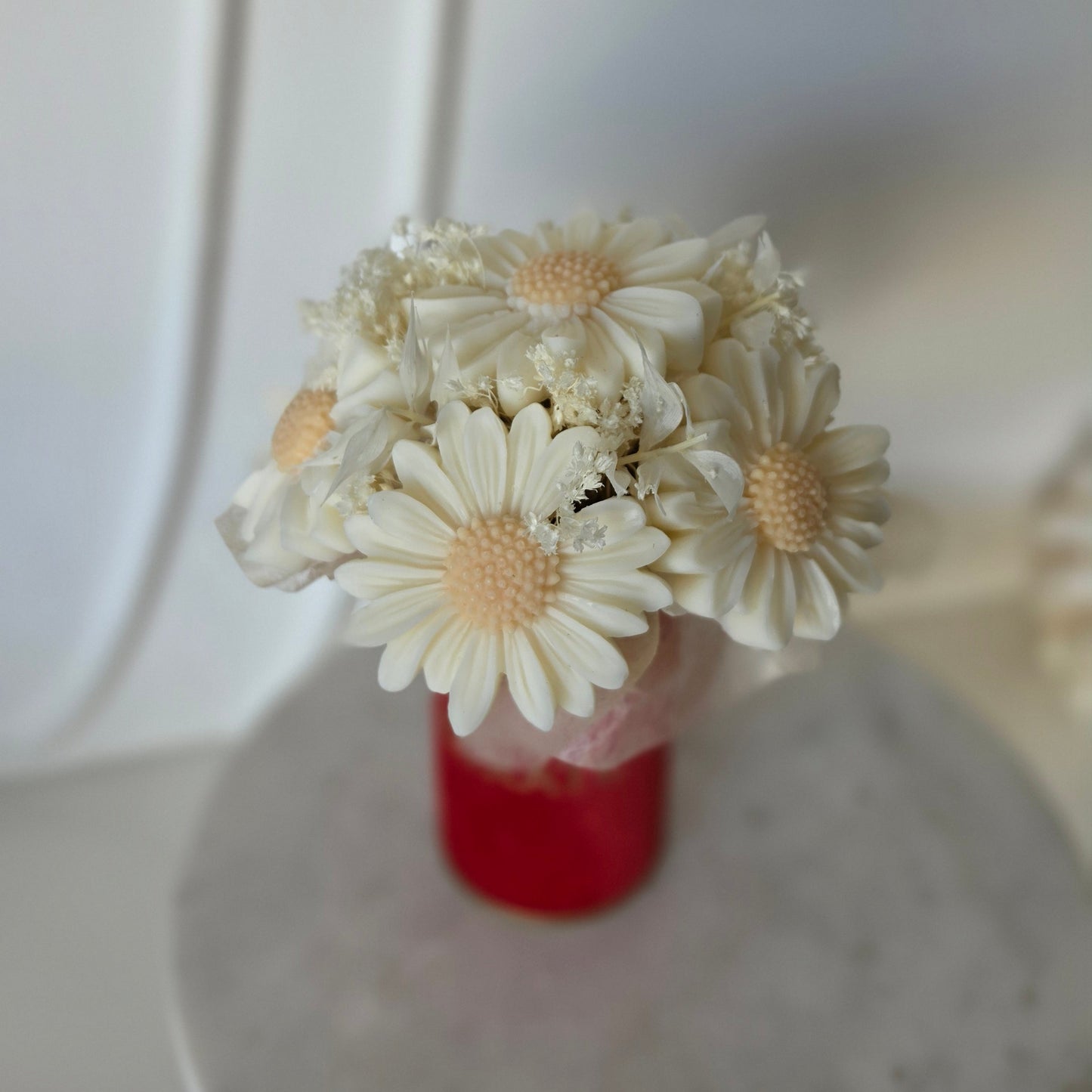 Mini Box Gänseblümchen