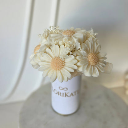 Mini Box Gänseblümchen