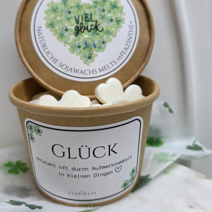 Viel Glück Sojawachs Melts Hyazinthe 100g